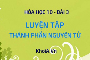 Luyện tập Thành phần nguyên tử, đồng vị, nguyên tử khối trung bình - Hóa 10 bài 3